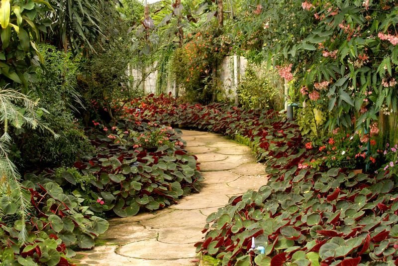 Geschwungener Natursteinweg zwischen bepflanzten Beeten